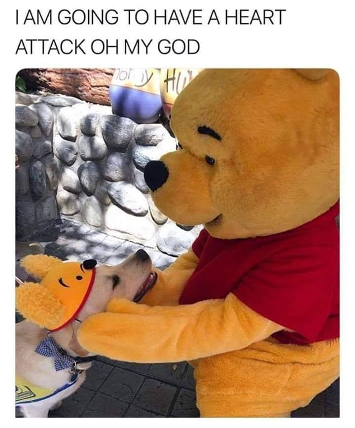 This meme is an image of Winnie the Pooh from the Disney franchise, but with a more aggressive and angry expression. The image is captioned with a phrase that is often used to express frustration or annoyance, "I am going to destroy you". The image is likely humorous because it takes a character known for being friendly and gentle and gives him a darker, more aggressive tone.